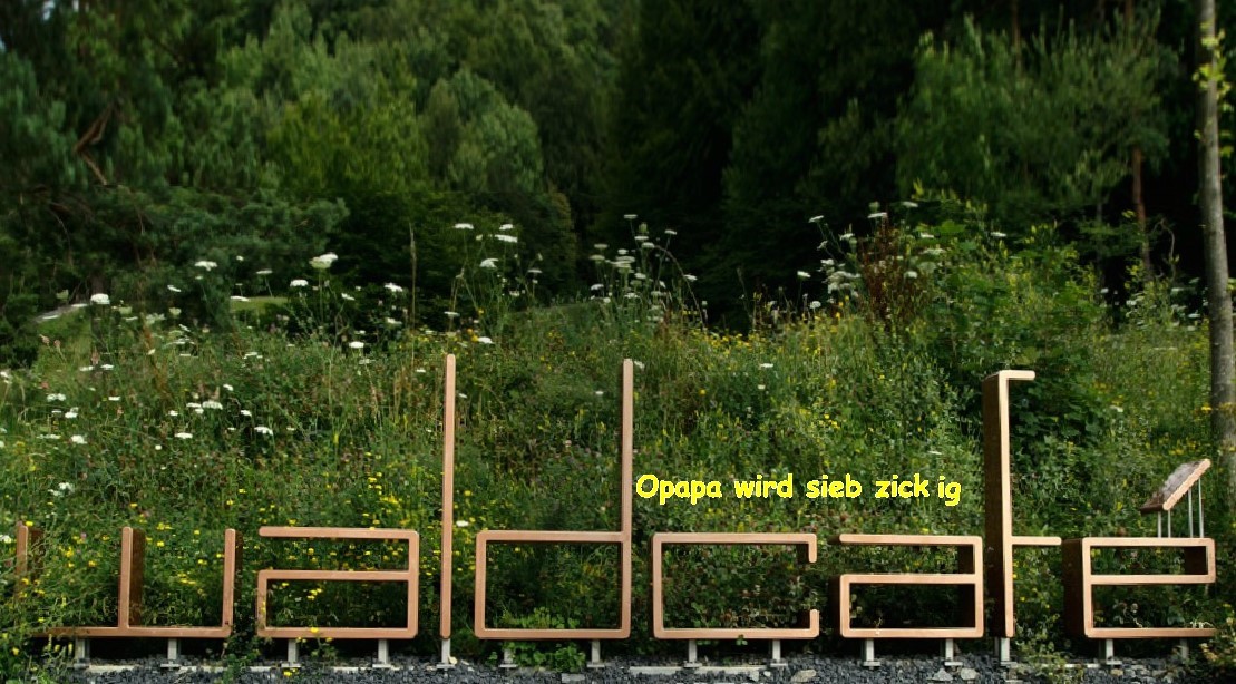 Waldcafe 1